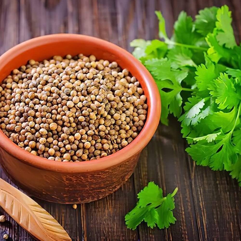 Coriander